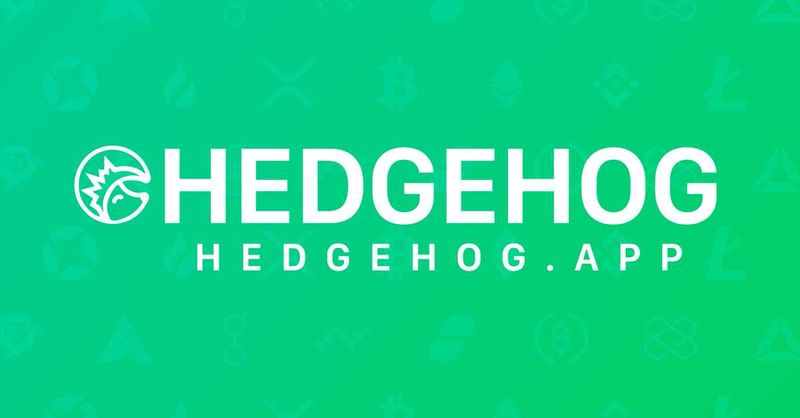 Hedgehog | Year in review (2020)